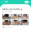상남초등학교(병설유치원) 이미지