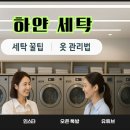하얀세탁 | 하얀세탁 이용 후기 – 접수부터 찾는 날까지 직접 써보고 느낀 점