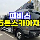 파비스온 이미지