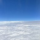 2239 | 부산 김해공항 칭다오 대한항공 KE2239 좌석 기내식, 중국 입국신고서 쓰는법