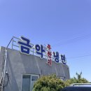 금악냉면 | 제주 서쪽 맛집 금악무짠지 냉면 후기｜비빔냉면 물냉면 고기완자 솔직 리뷰 (제주 냉면 맛집 추천)