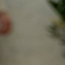 뮬리성형외과의원 이미지