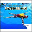 씨유 표선가마리점 | 제주 농협수련원 수영장 제주도 물놀이 서귀포 표선 아이들 후기