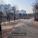 심곡천공원 | 청라러닝코스 추천 초보러너 런닝화 입문자용 구입 청라하늘마라톤 10K 완주 후기