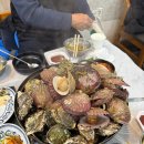 푸른바다 리조트(주) | 대천 1박 2일 가족여행기｜환상의 바다 리조트· 대천해수욕장· 천북 굴축제맛집 등 총정리