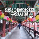 구은사 | 단양 가볼만한곳 여행지, 구인사절 천태종 주차장