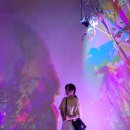 순천다육아트 | 순천만국가정원 식물원 얼음동굴 총정리