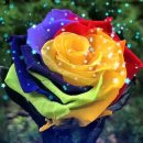 에이치케이이노엔(주) 이미지