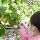 부창수퍼 이미지