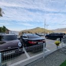 똥개애견카페 이미지