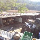 진실농장 이미지