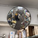 도화체육관 | [우당탕탕 2026] 2/1~2/20, 체험단과 두바이 쫀득에 지배당해버린 일상 그리고 해피설날(왜 계속 먹는거...