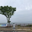 노을진바다 | 태안 안면도 노을진바다 펜션