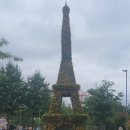 대전유림공원 국화축제 25.10.18-11.2 이미지