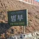 스테이 밤부2 이미지