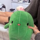 주정차단속-17 | 울산 남자 왁싱 추천! '어푸왁싱' 다리 하프 왁싱 솔직 후기 (Feat. 훈남 원장님/무통 왁싱)