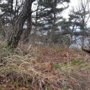 연화약수터 이미지