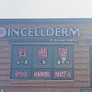 인셀덤티나 | 서산 해미읍성 피부관리 고민 이있다면 인셀덤명품티나 추천