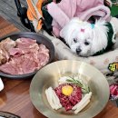 돼지갈비 미쳤다! 주걱집 평택본점 멤버쉽 VIP혜택 [애견동반 식당]