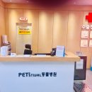 펫스티벌 동물병원 이미지