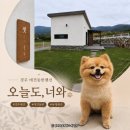 갈지6-2 안길 | 경주 애견펜션 추천 오늘도너와 독채 마당 2박 3일 솔직후기 (feat. 경주 애견동반 갈만한 곳)