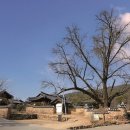 스테이 호은 이미지