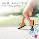 올인교육