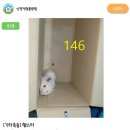 신영재동물병원 이미지