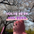 서울경양 여의도점 | 2026 영등포 여의도 봄꽃축제 서울 벚꽃축제 후기
