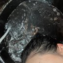 공차천안차암점 | [바레안헤어 복구매직] 찰랑찰랑 애기머리결로 디톡스완료