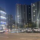 모모케이크 | 동탄 케이크맛집 모모케이크, 생일파티용 수제케이크 후기