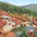 삼성궁 이미지