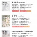 꼼뚜 이미지