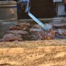 창원 컨벤션센터 앞 | 창원컨벤션센터 뷔페후기 전메뉴 종류