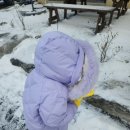 레이지507B 이미지