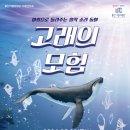 창작고래 이미지