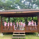 위즈캐슬 이미지