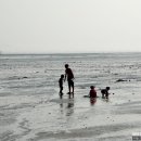 환상의섬 이미지