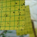 장해농장 이미지