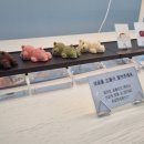 뮤지엄호두 MUSEUM HODU 이미지