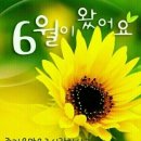 초록의계절 이미지