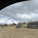 엔엔관 | 27개월 아기와 후쿠오카 둘째날(아프리칸사파리, 비밤, 엔엔)