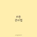 스마일인테리어 이미지