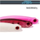 맥스 소프트 이미지