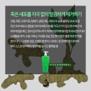 미소뷰티 - 남구 수영로250번길 59 | 미소뷰티