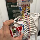 메타짐 수진점 | 어깨 교정 효과 톡톡히 본 태평역헬스장 메타짐 수진점 PT 후기