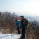 봉수육교