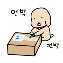써니페스트리 이미지