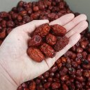 용래농장 이미지