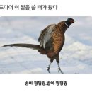 해평단골식당 이미지
